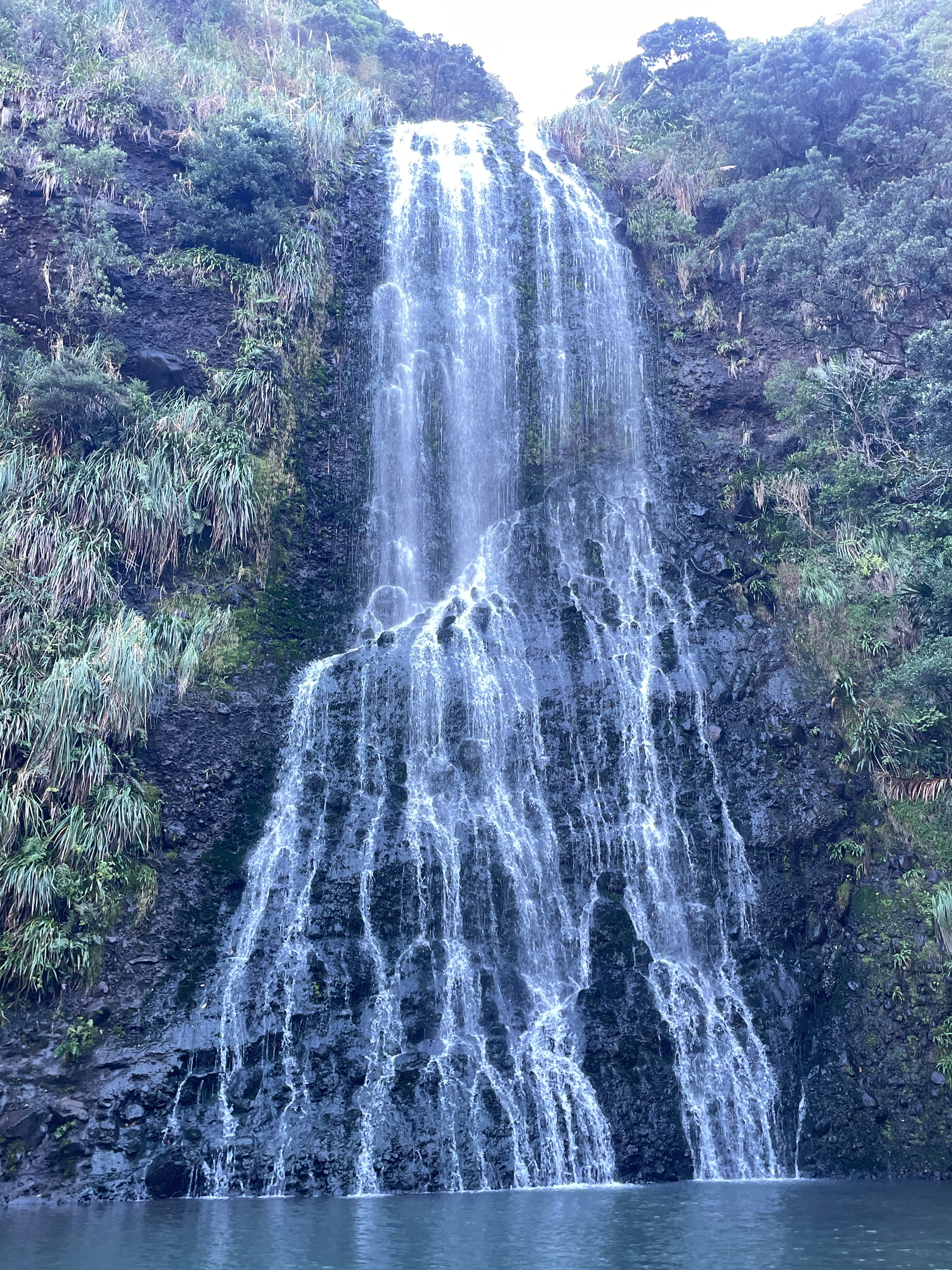 Tall waterfall cascading down a dark rocky cliff, surrounded by lush green vegetation.